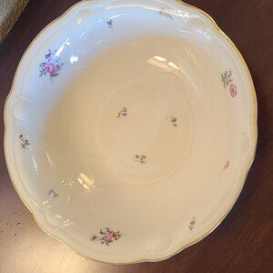 Hutschenreuther Abt. Paul Müller Selb Bavaria Germany Fine china 10.25" bowl🐣